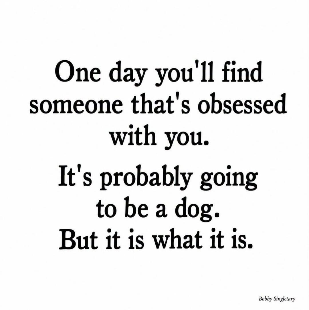 One day you'll find someone that's obsessed with you. It's probably going to be a dog. But it is what it is.