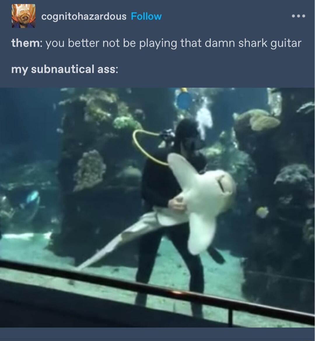 L pe them you better not be playing that damn shark guitar my subnautical ass