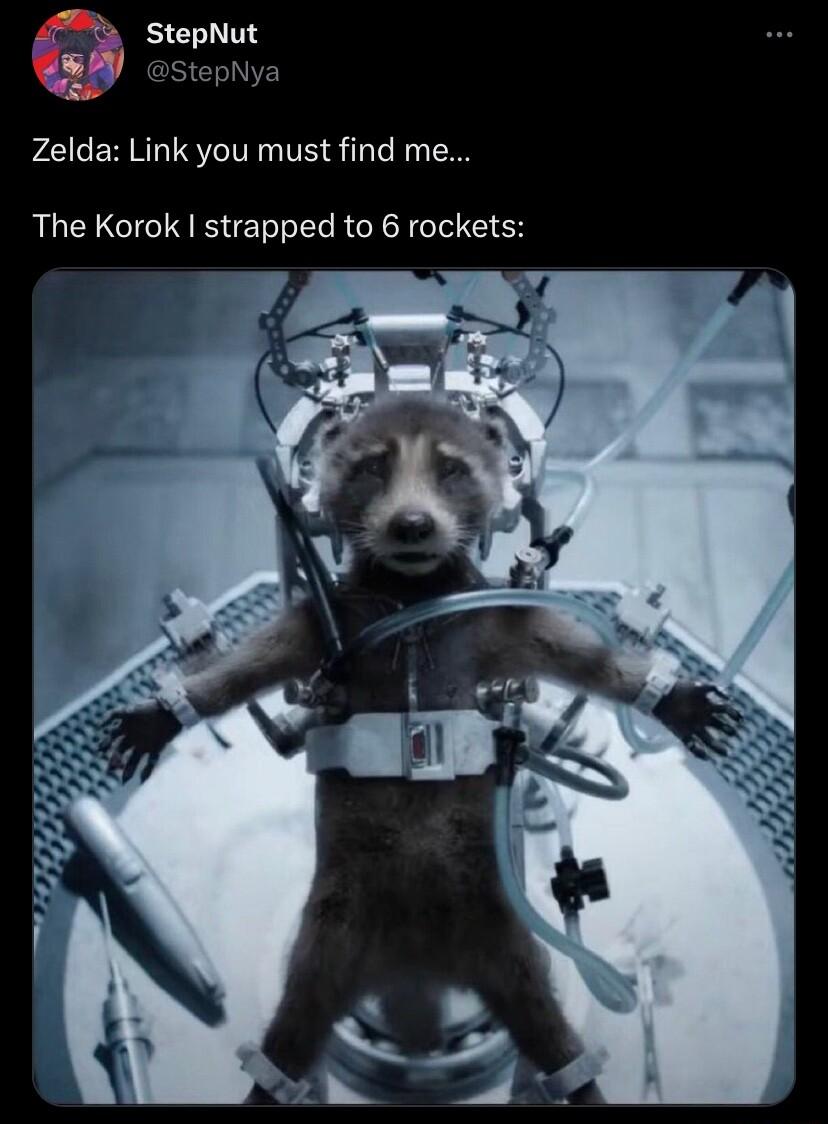 StepNut StepNya Zelda Link you must find me The Korok strapped to 6 rockets