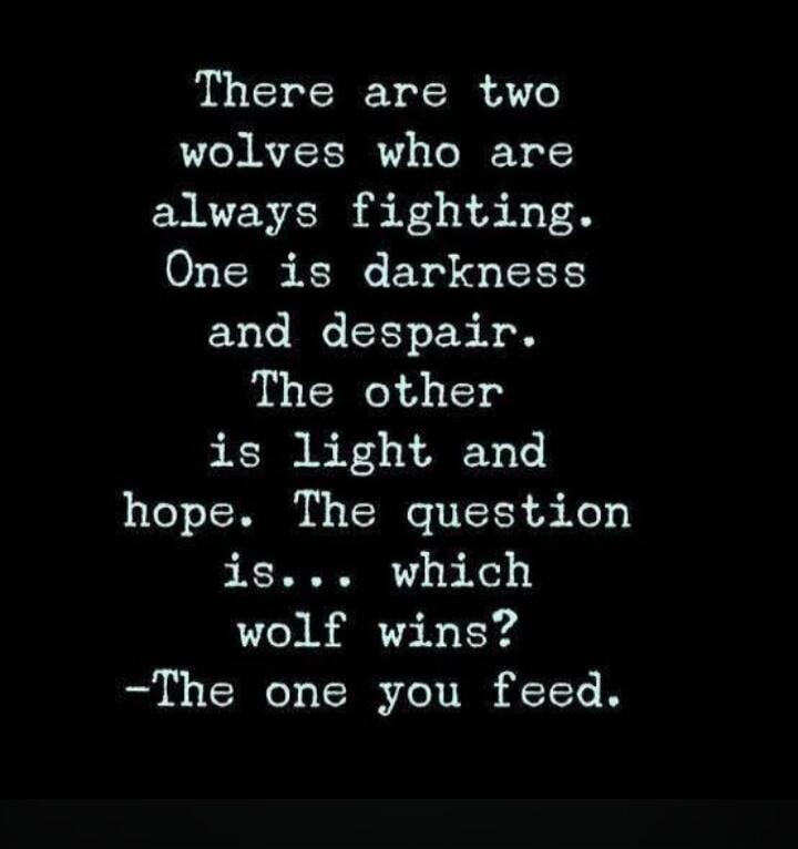 There are two wolves who are always fighting. One is darkness and despair. The other is light and hope. The question is... which wolf wins? -The one you feed.