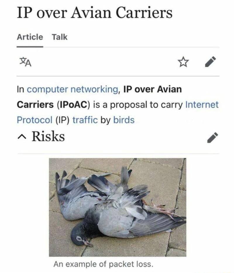 IP over Avian Carriers Article Talk A w In computer networking IP over Avian Carriers IPoAC is a proposal to carry Internet Protocol IP traffic by birds Risks s An example of packet loss