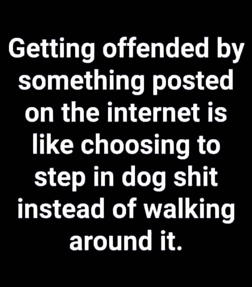 Getting offended by something posted on the internet is like choosing to step in dog shit instead of walking around it.