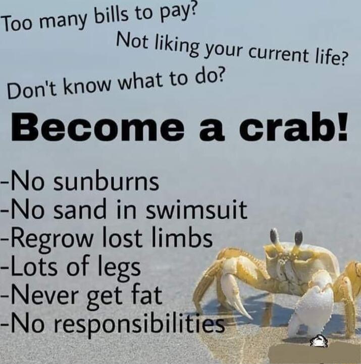 Too many bills to pay Not hkingour Current ife Dont know what to do Become a crab No sunburns No sand in swimsuit Regrow lost limbs Lots of legs Never get fat No responsibilitie