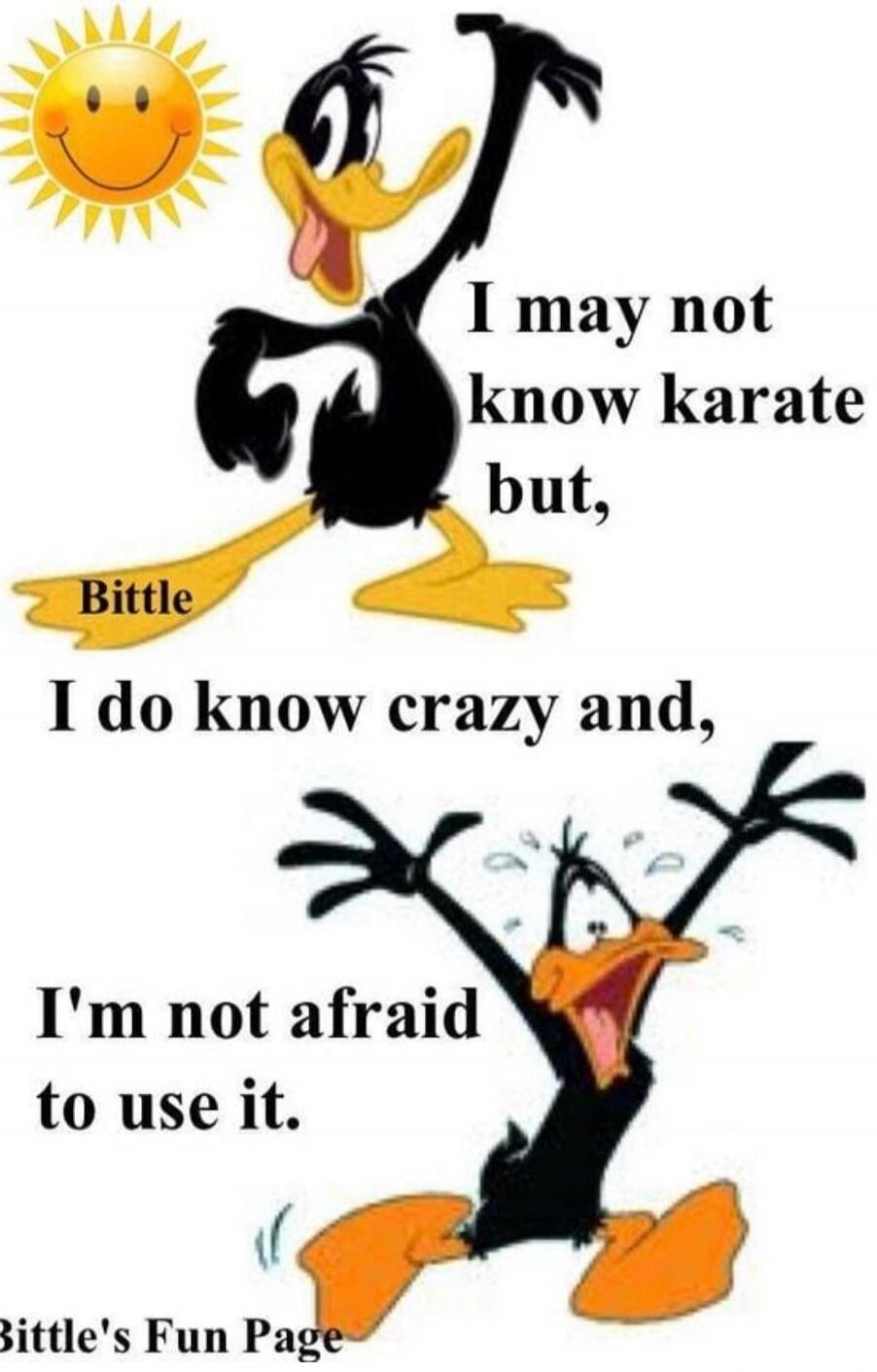 I may not know karate but, I do know crazy and, I'm not afraid to use it.