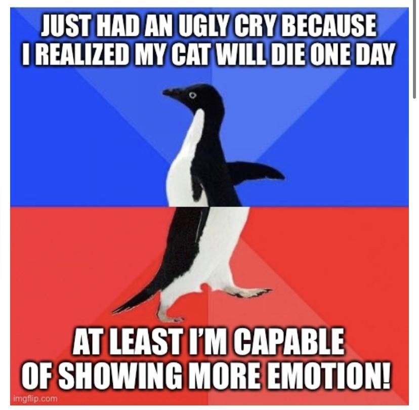 JUST HAD AN UGLYCRYBECAUSE 1 REALIZED MY CAT WILL DIE ONE DAY A ATLEAST IM CAPABLE OF SHOWING MOREEMOTION