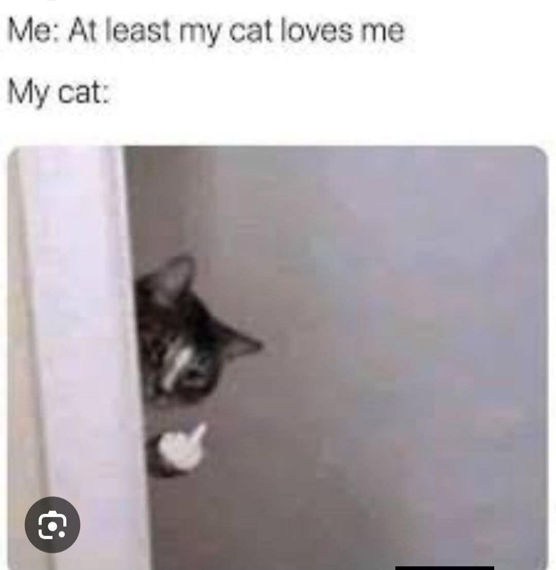 Me: At least my cat loves me My cat: