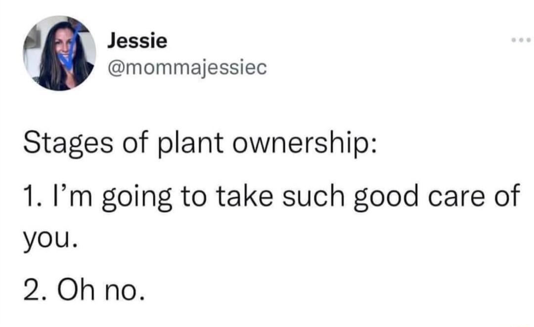 A Jessie mommajessiec Stages of plant ownership 1 Im going to take such good care of you 2 Oh no