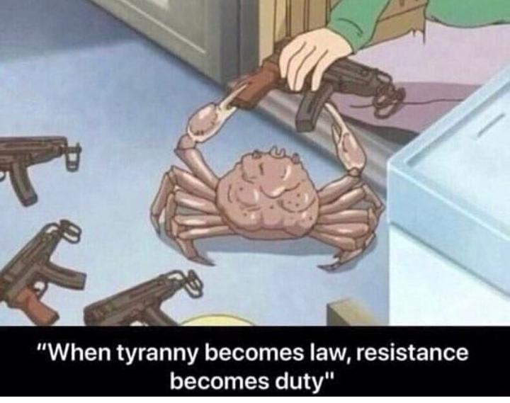 When tyranny becomes law resistance becomes duty