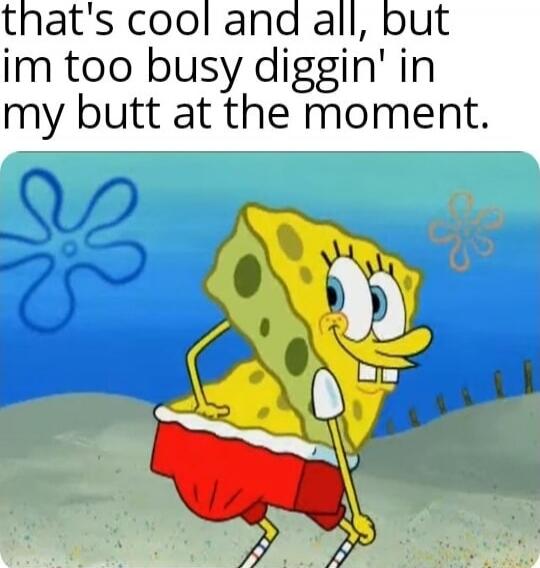 that's cool and all, but im too busy diggin' in my butt at the moment.
