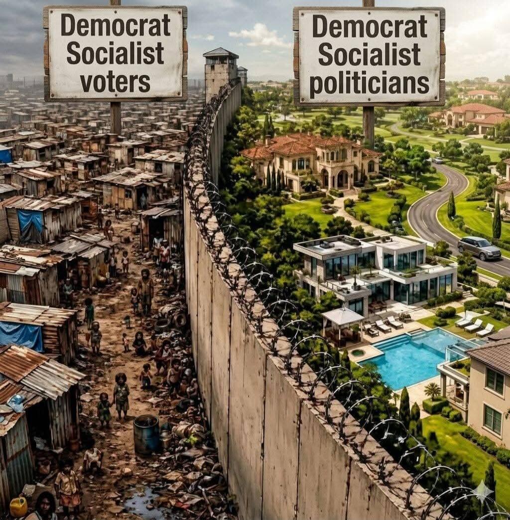 Democrat Socialist voters Democrat Socialist politicians