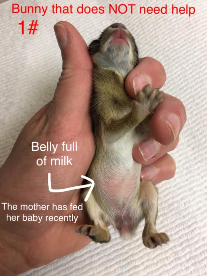 The mothelzxhasd her baby recently