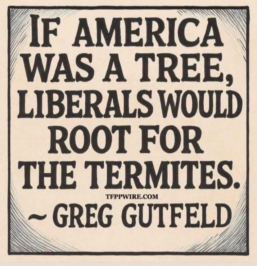 IF AMERICA WAS A TREE, LIBERALS WOULD ROOT FOR THE TERMITES. TFPPWIRE.COM ~ GREG GUTFELD