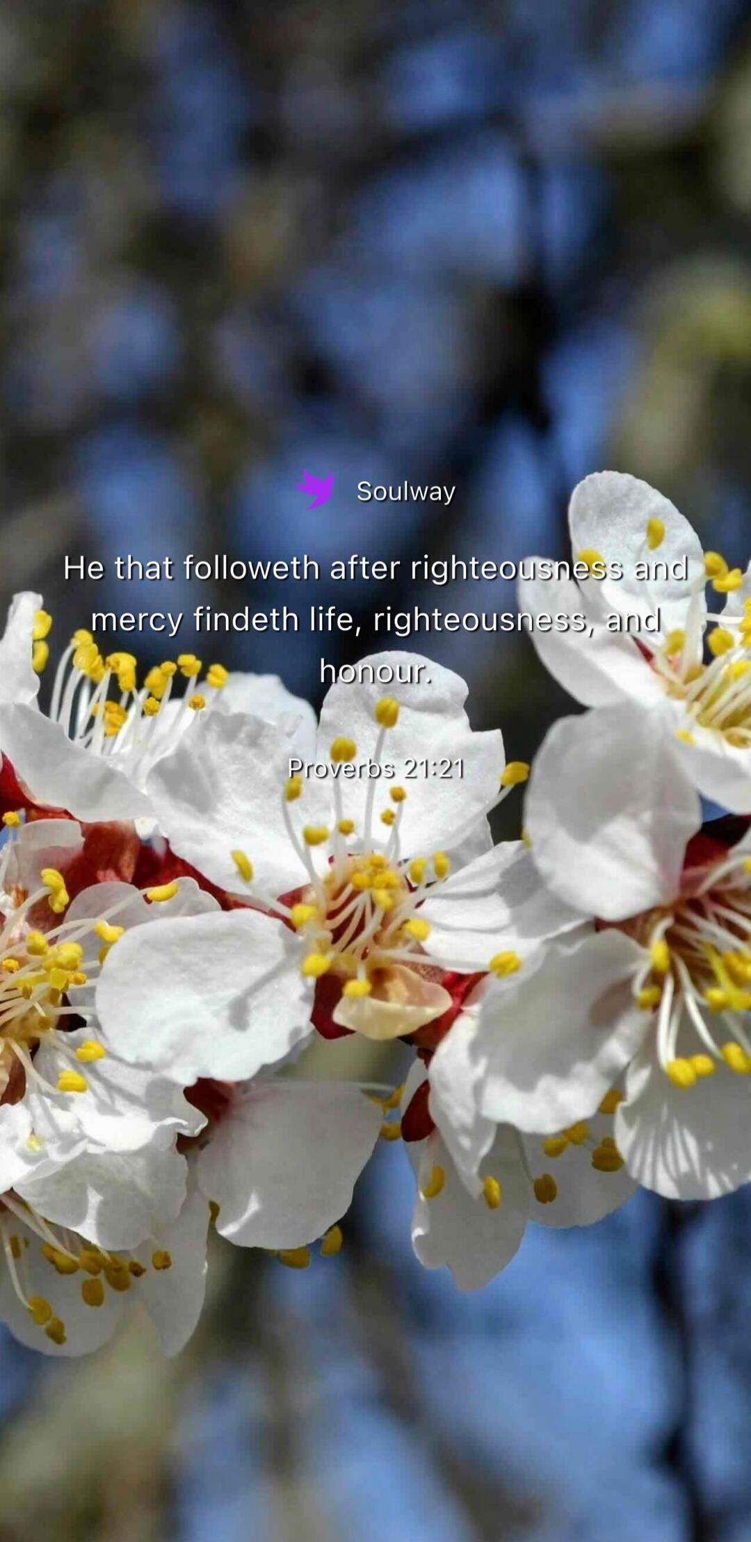 Soulway He that followeth after righteousness and mercy findeth life, righteousness, and honour. Proverbs 21:21