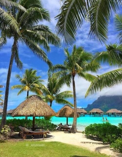 Palm trees and bungalows on a tropical beach.