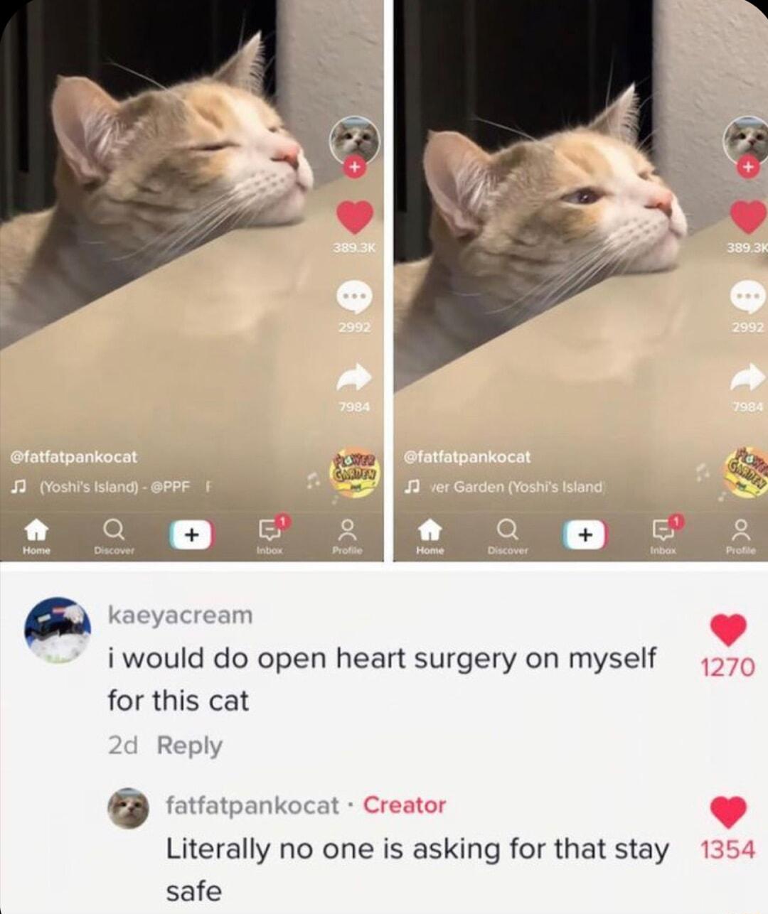 R i i would do open heart surgery on myself for this cat L Literally no one is asking for that stay safe