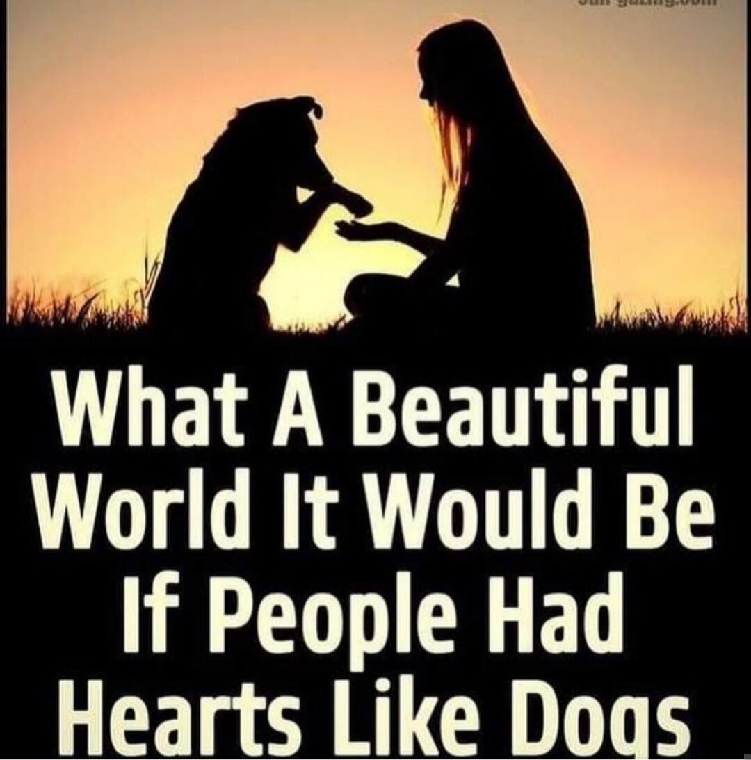 What A Beautiful World It Would Be If People Had Hearts Like Dogs