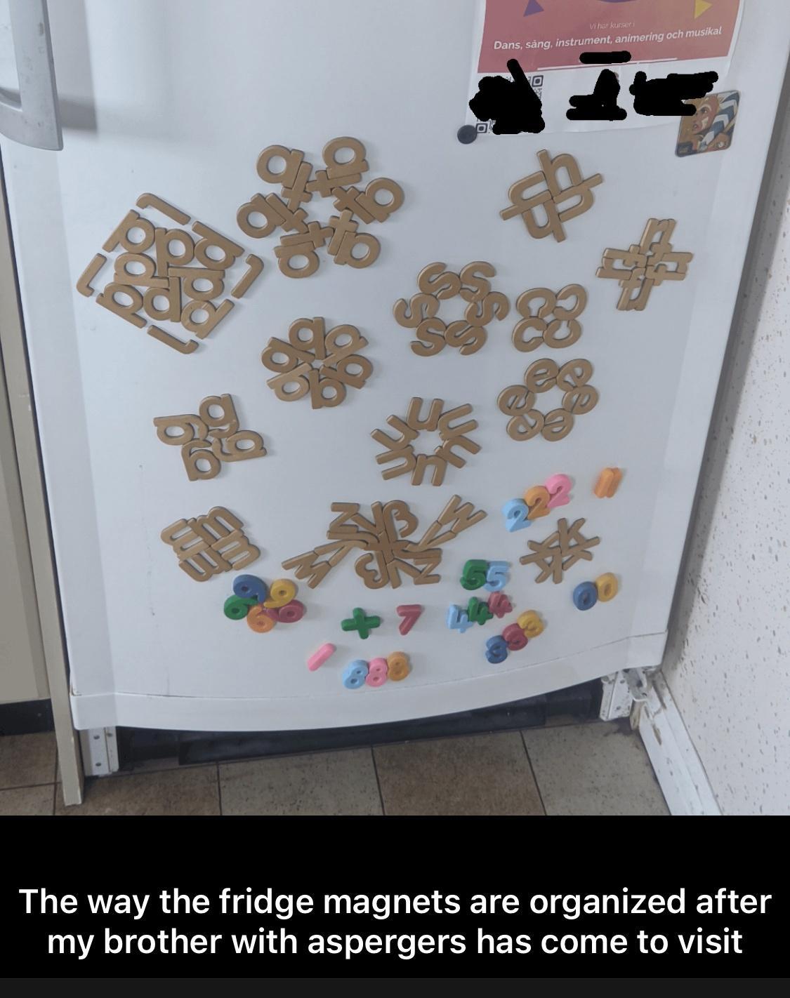 The way the fridge magnets are organized after my brother with aspergers has come to visit