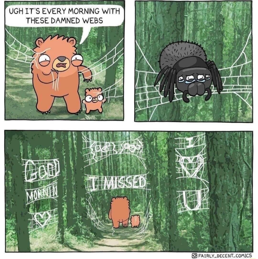 UGH ITS EVERY MORNING WITH THESE DAMNED WEBS