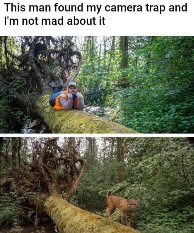 This man found my camera trap and Im not mad about it