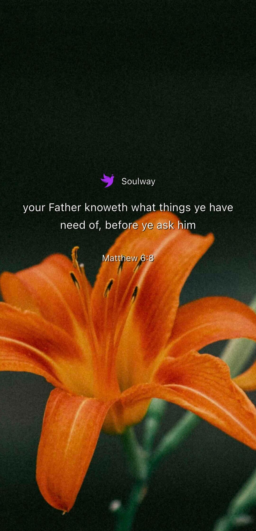 Soulway your Father knoweth what things ye have need of, before ye ask him Matthew 6:8