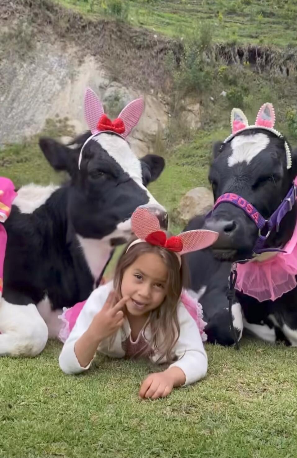 A girl lying on the grass in front of two cows wearing pink bunny ears; a playful farm scene.