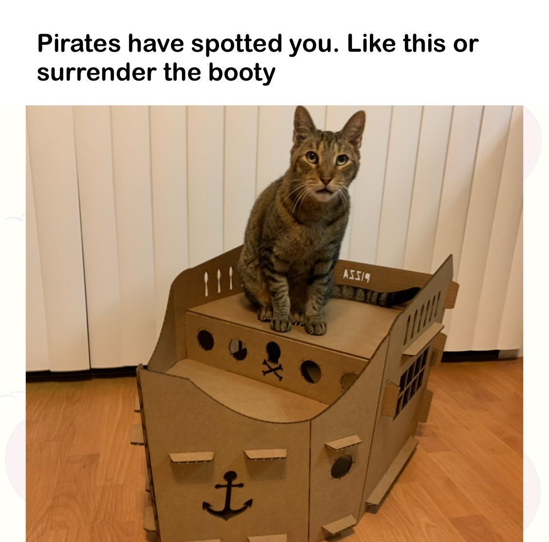 Pirates have spotted you Like this or surrender the booty