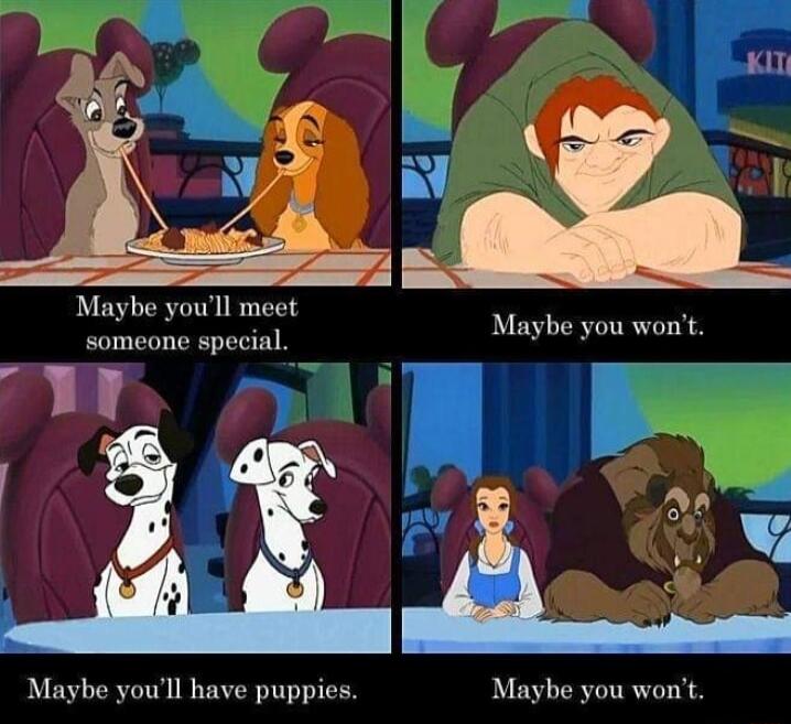Maybe youll meet Maybe you wont someone special 2 Maybe youll have puppies Maybe you wont
