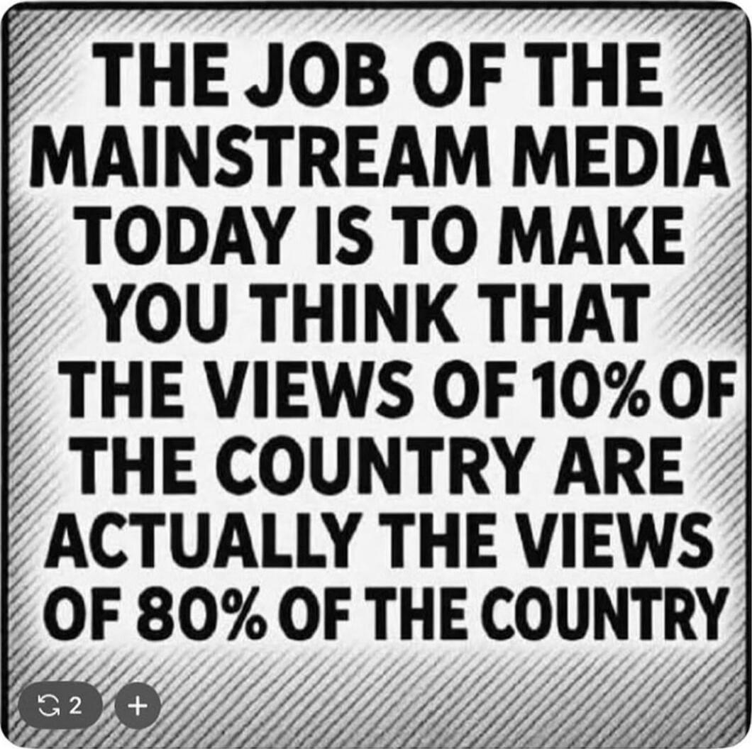 THE JOB OF THE MAINSTREAM MEDIA TODAY IS TO MAKE YOU THINK THAT THE VIEWS OF 10% OF THE COUNTRY ARE ACTUALLY THE VIEWS OF 80% OF THE COUNTRY