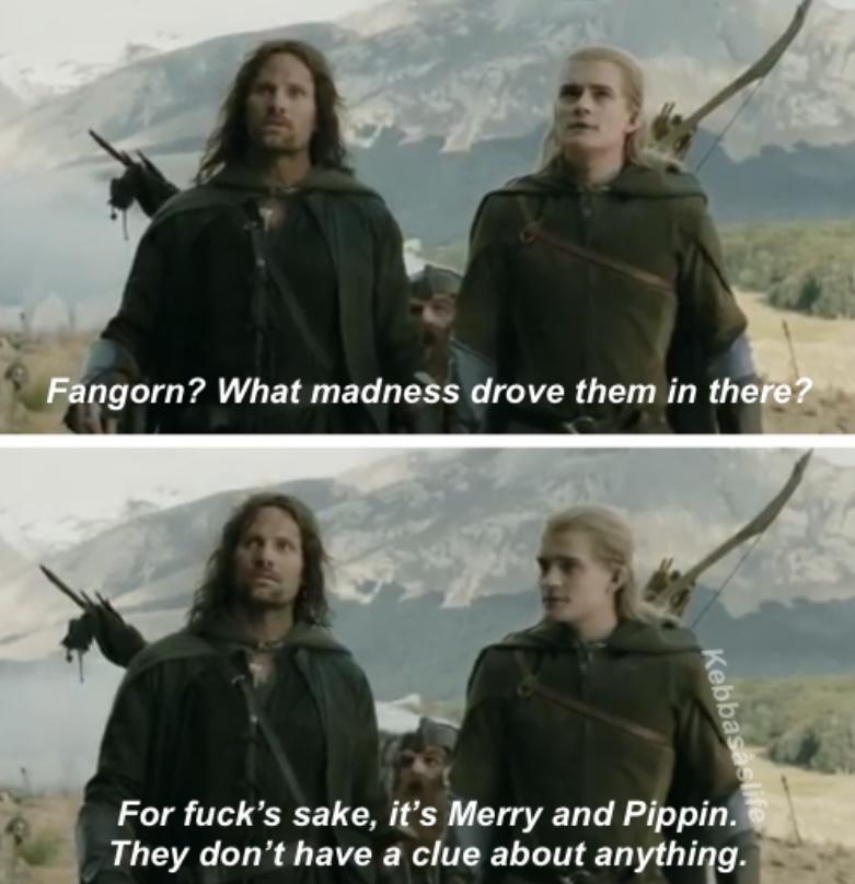 For fucks sake its Merry and Pippin They dont have a clue about anything