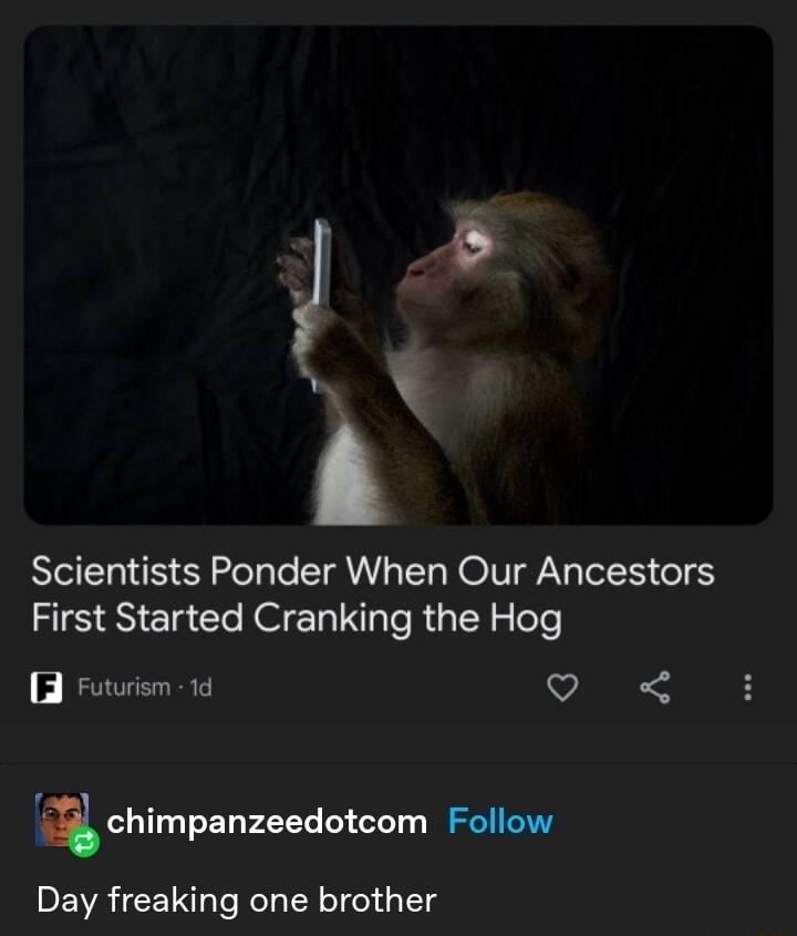 J b Scientists Ponder When Our Ancestors First Started Cranking the Hog F T 0 chimpanzeedotcom Follow Day freaking one brother