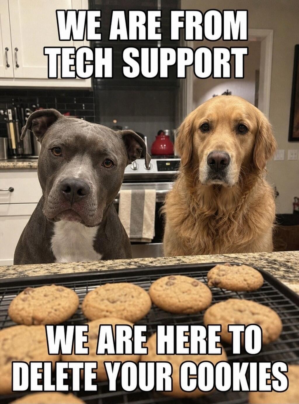 WE ARE FROM TECH SUPPORT WE ARE HERE TO DELETE YOUR COOKIES