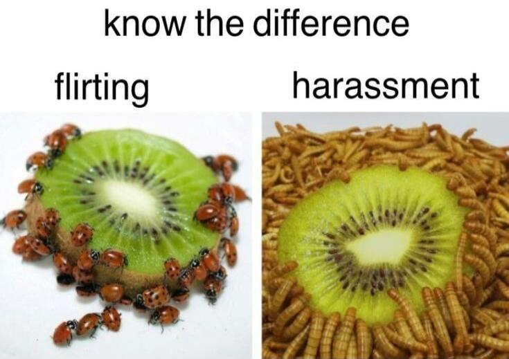 know the difference
flirting					harassment