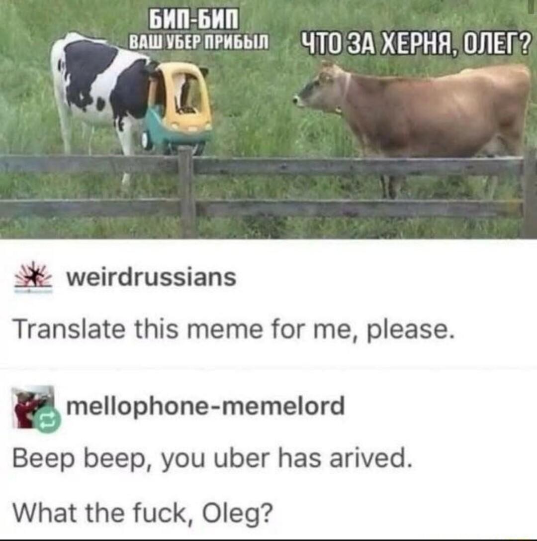 BUN bHN BAWVBERAPHGBIN YT03A XEPHA ONIEN T S weirdrussians Translate this meme for me please mellophone memelord Beep beep you uber has arived What the fuck Oleg