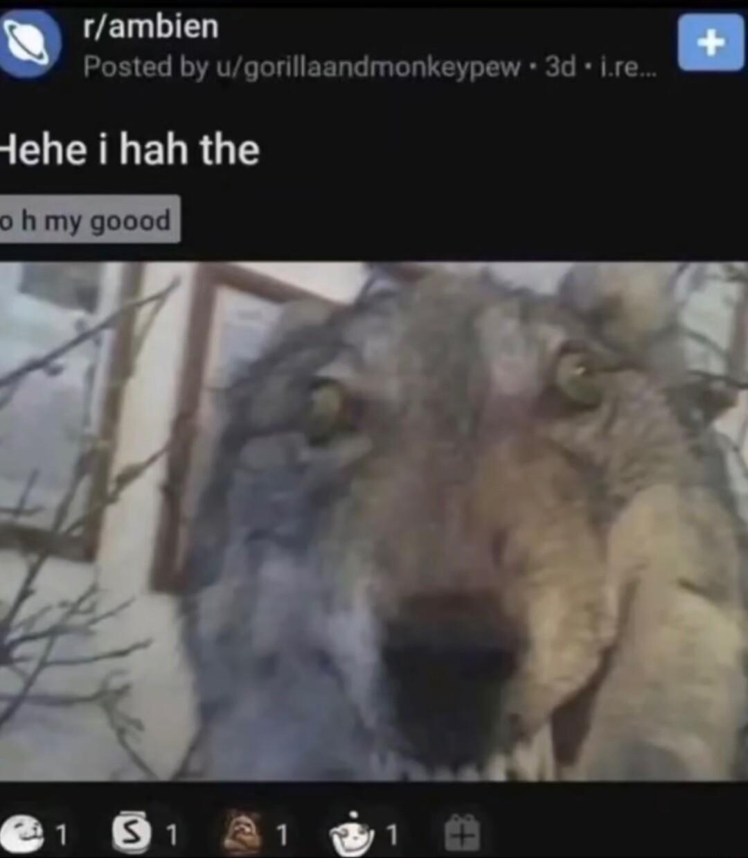 WUELLIE Posted by ugorillaandmonkeypew 3d ire CLERNELR TS o h my goood