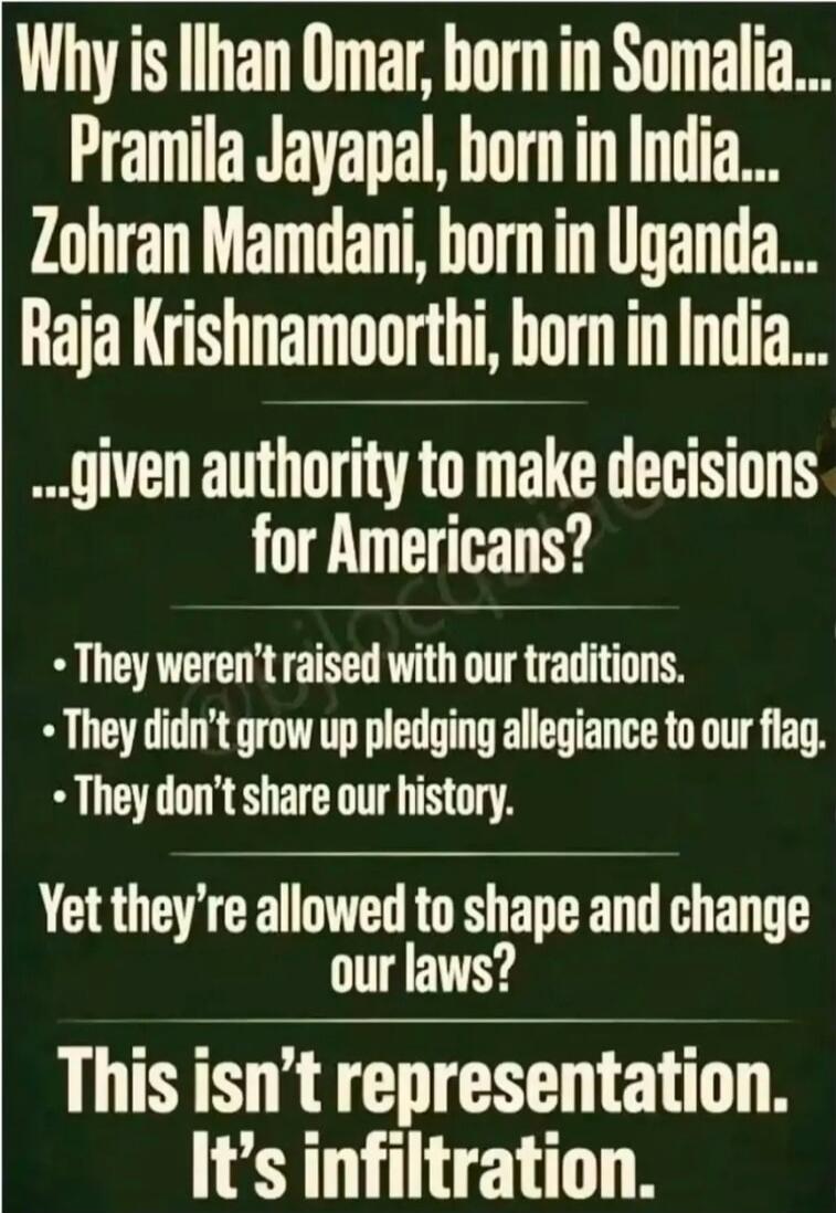 Why is Ilhan Omar, born in Somalia... Pramila Jayapal, born in India... Zohran Mamdani, born in Uganda... Raja Krishnamoorthi, born in India... ...given authority to make decisions for Americans? They weren't raised with our traditions. They didn't grow up pledging allegiance to our flag. They don't share our history. Yet they're allowed to shape a