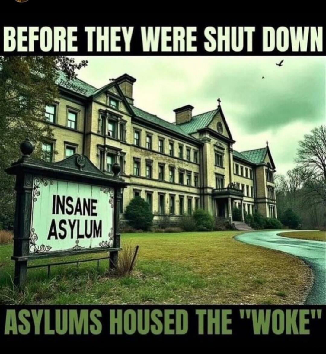 BEFORE THEY WERE SHUT DOWN INSANE ASYLUM ASYLUMS HOUSED THE 