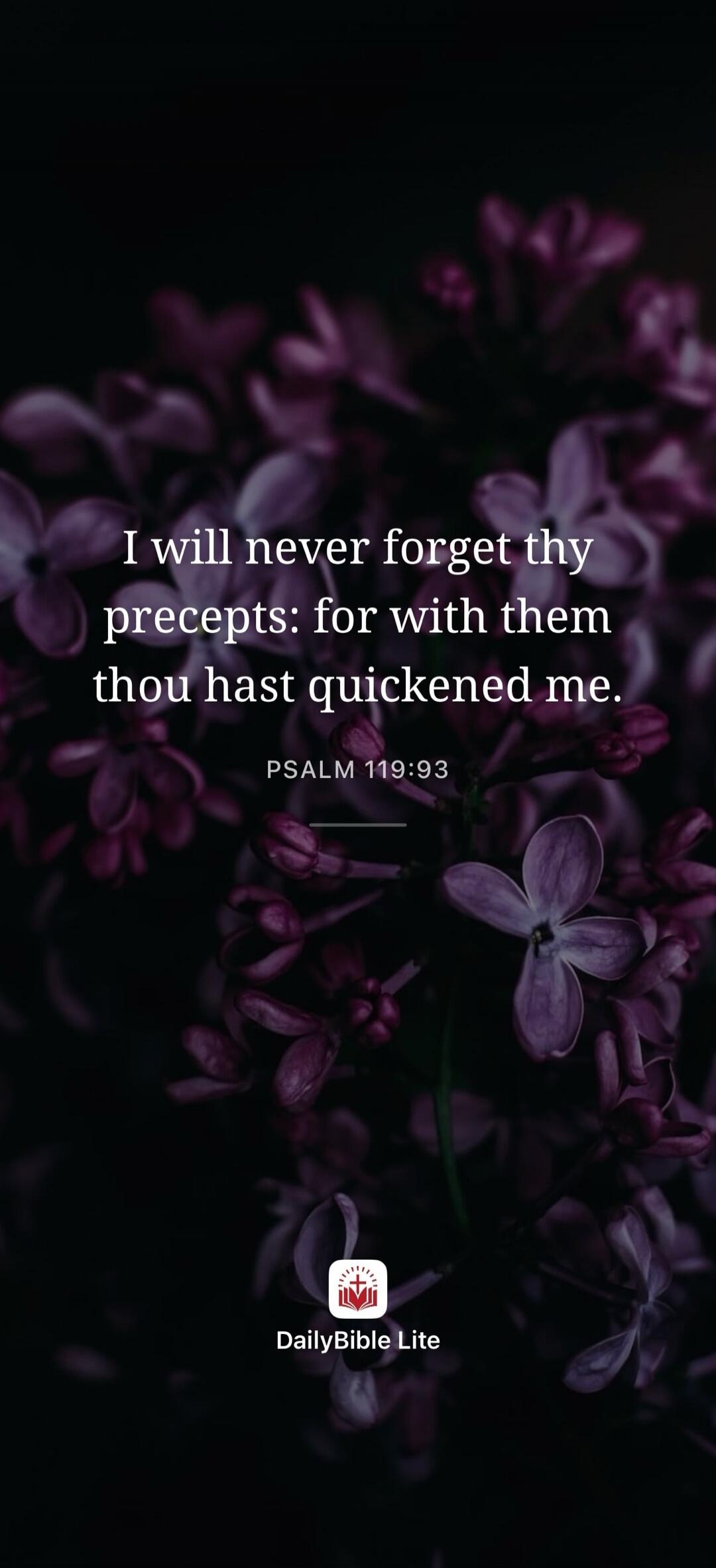 I will never forget thy precepts: for with them thou hast quickened me. PSALM 119:93 DailyBible Lite