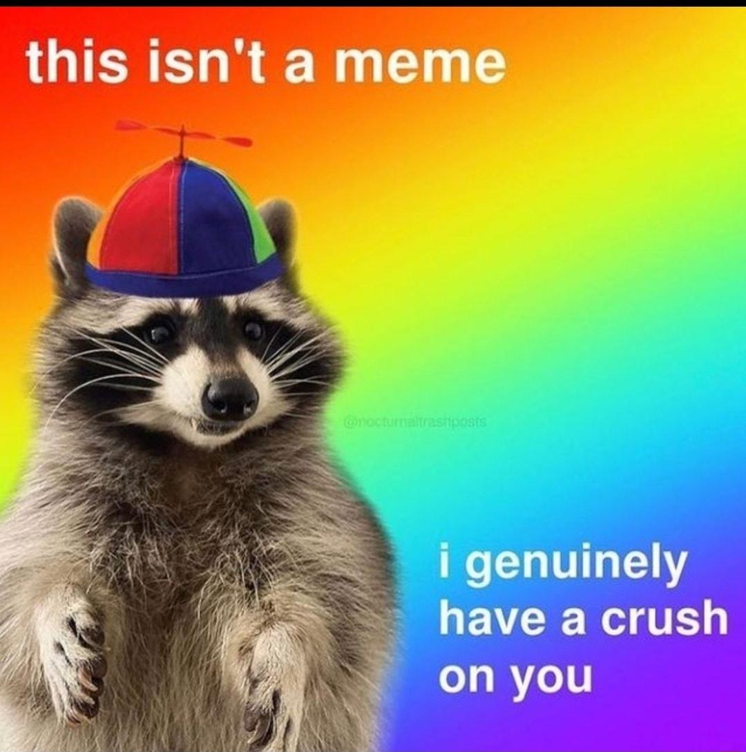 this isnt a meme
