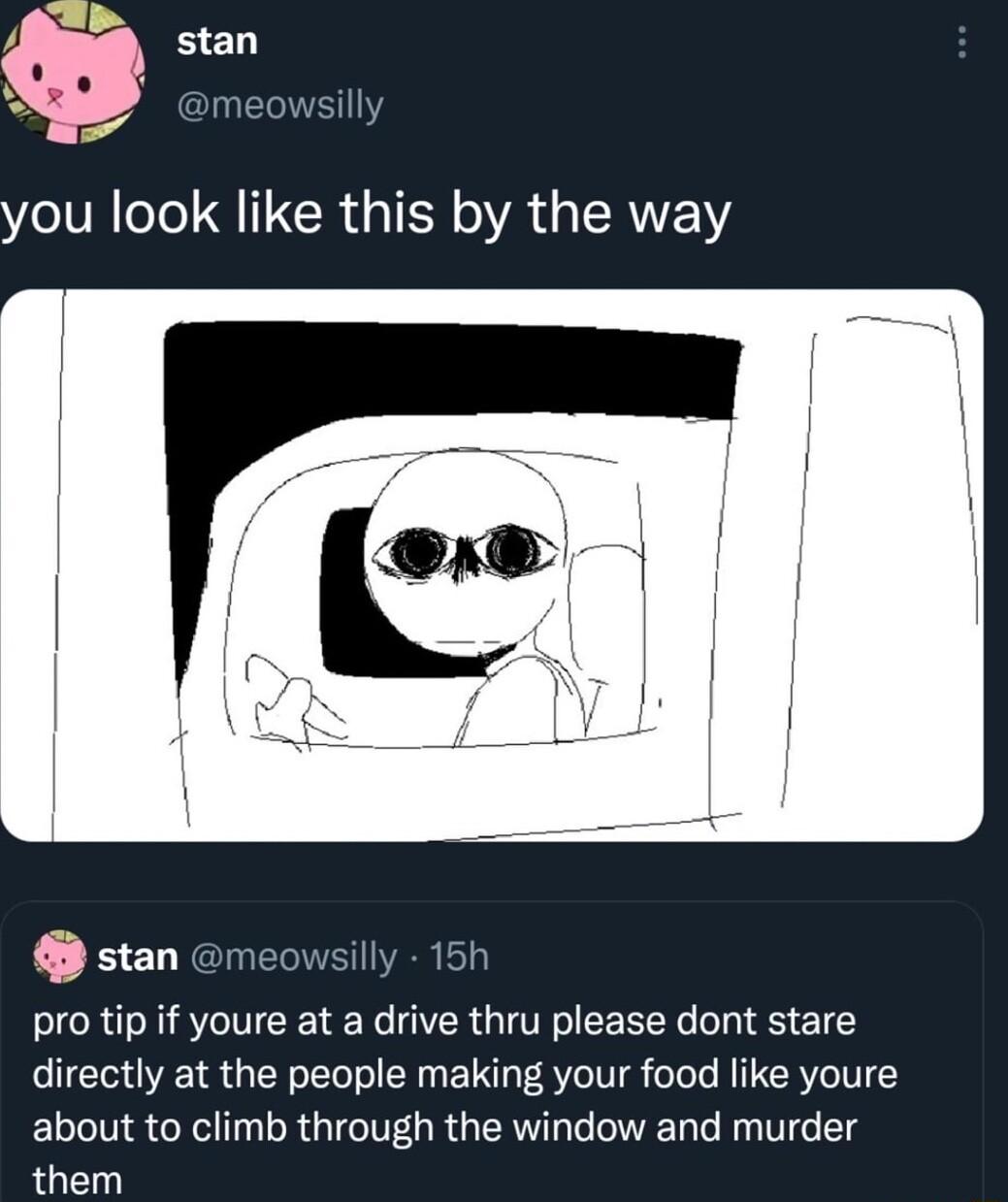 stan I you look like this by the way stan meowsilly 15h pro tip if youre at a drive thru please dont stare directly at the people making your food like youre Ll Xl RGICI UR QTR VR T g them
