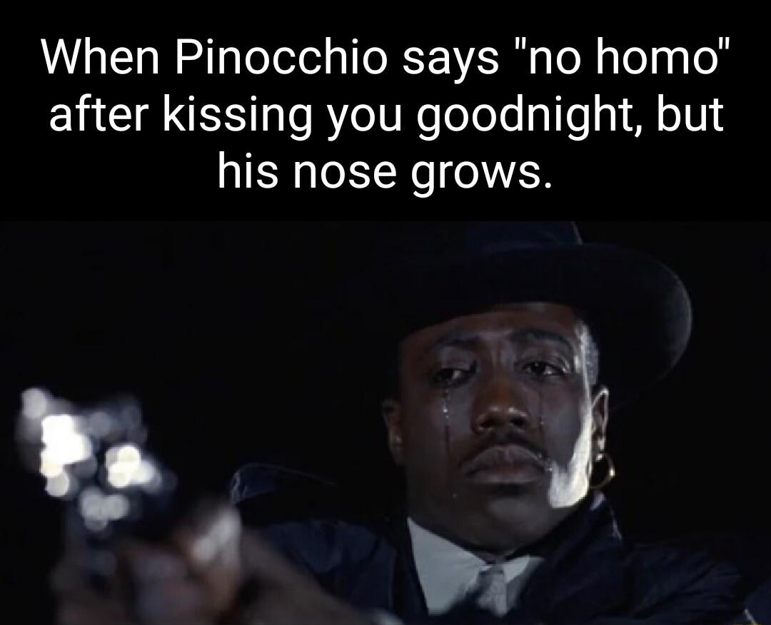When Pinocchio says no homo after kissing you goodnight but his nose grows w o L