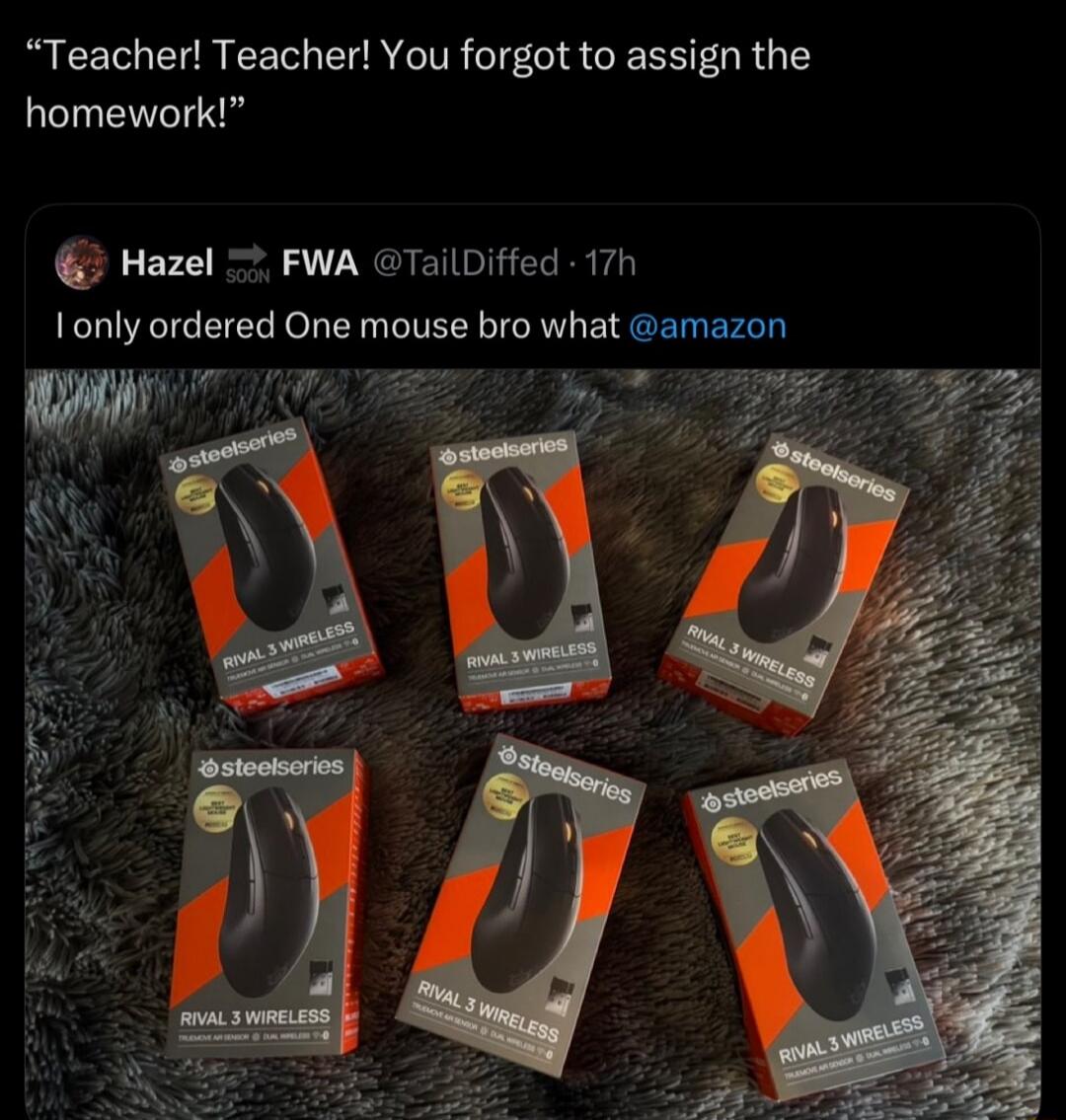 Teacher! Teacher! You forgot to assign the homework! Hazel FWA @TailDiffed 17h I only ordered One mouse bro what @amazon steelseries RIVAL 3 WIRELESS