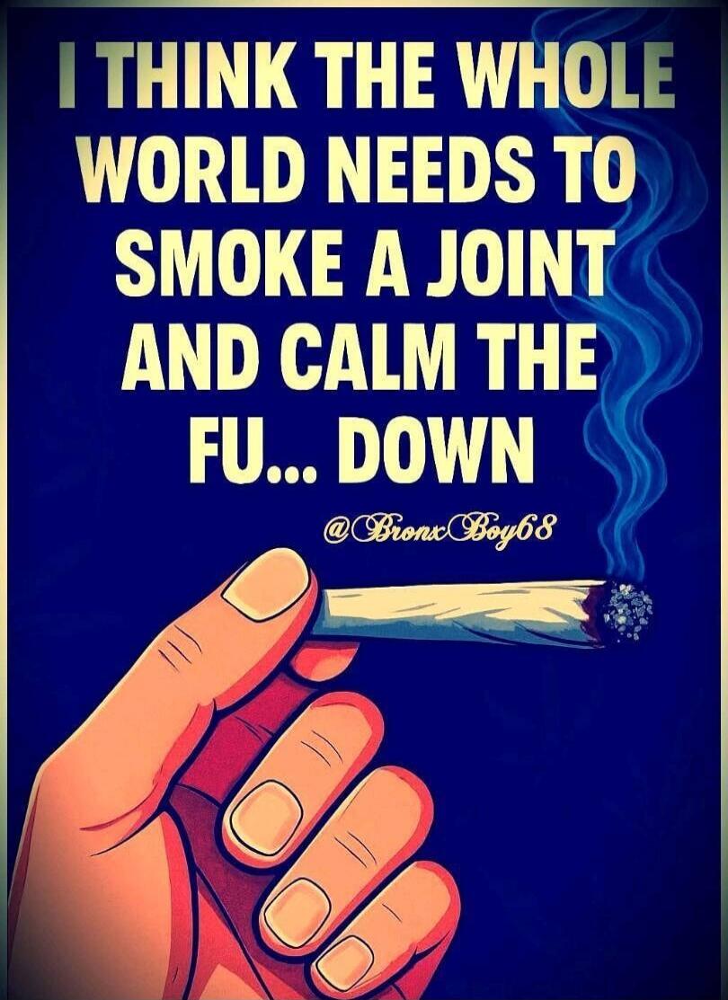 I THINK THE WHOLE WORLD NEEDS TO SMOKE A JOINT AND CALM THE FU... DOWN @BronxBoy68