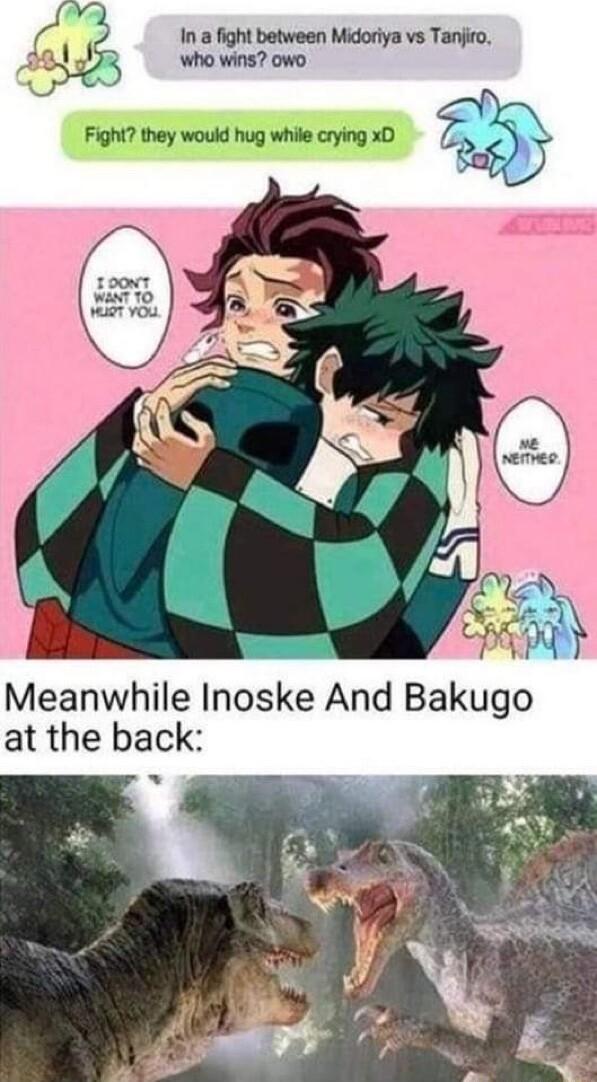 D 2 n a fight between Midoriya vs Tanjiro 5 who wins owo Fight they would hug while crying xD saf Meanwhile Inoske And Bakugo at the back