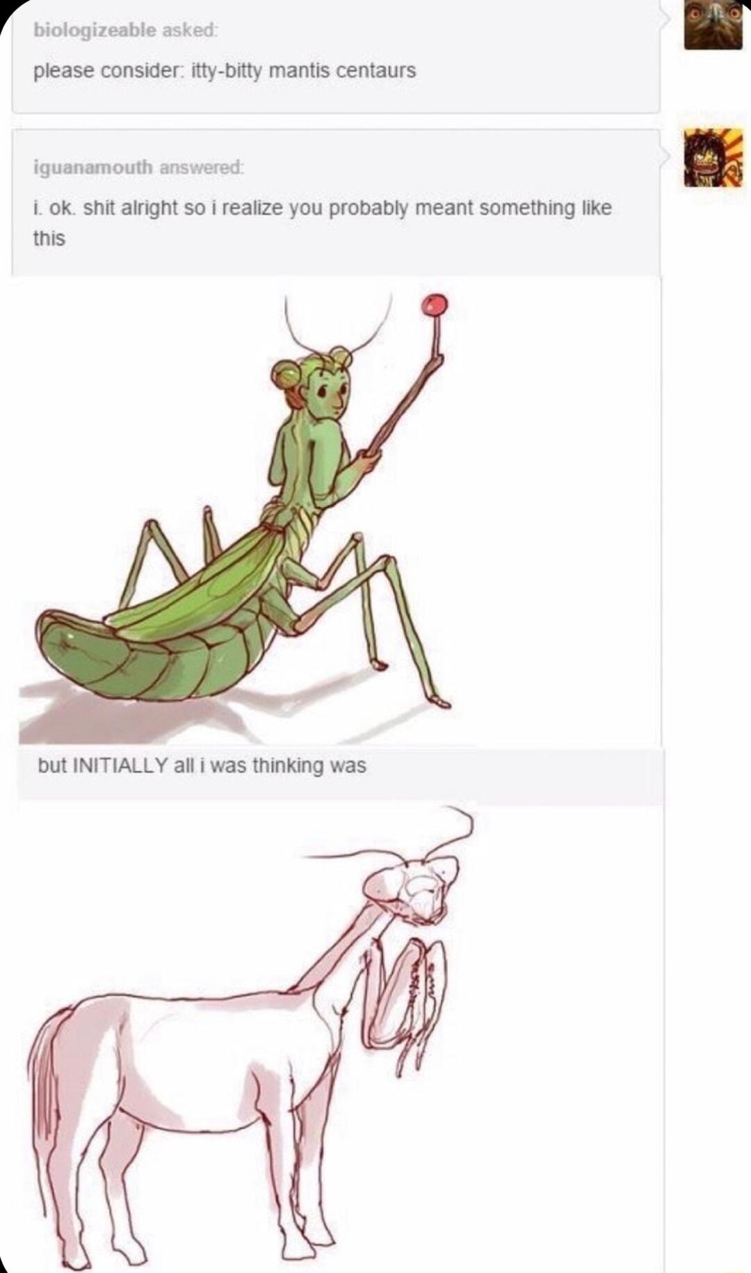 P biotogizeatie asked please consider ty bitty mantis centaurs iguanamouth answered 1ok shit airight so reaize you probably meant something ke this but INITIALLY all was thinking was