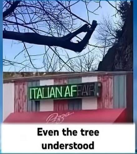 ITALIAN AFFAIR Even the tree understood