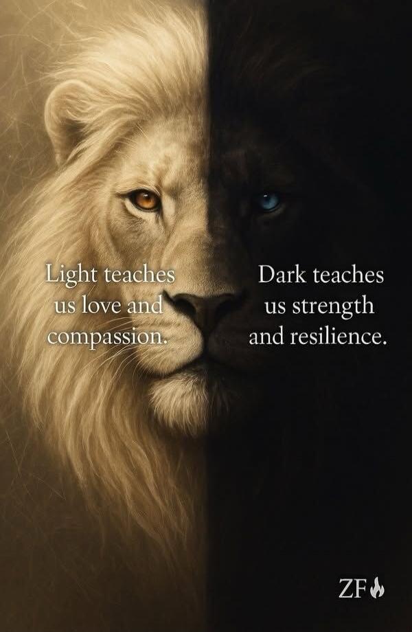 Light teaches us love and compassion. Dark teaches us strength and resilience.
