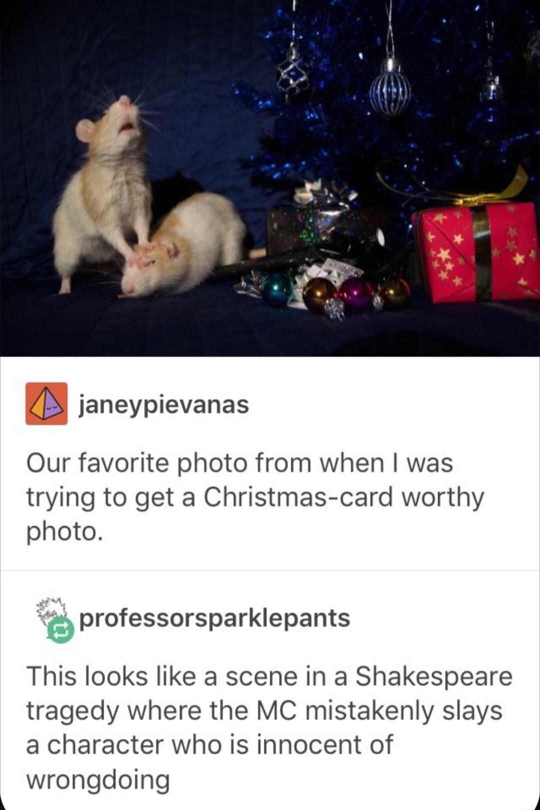 B janeypievanas Our favorite photo from when was trying to get a Christmas card worthy photo 9 professorsparklepants This looks like a scene in a Shakespeare tragedy where the MC mistakenly slays a character who is innocent of wrongdoing