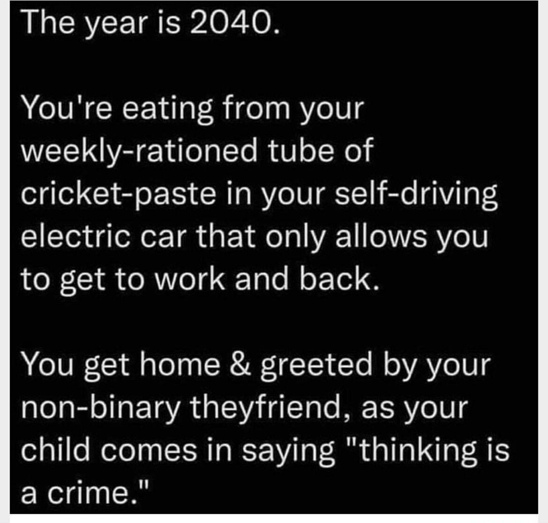 The year is 2040 Youre eating from your WEELOYR 1 elglTo RVl oTN0e cricket paste in your self driving electric car that only allows you e NIRRT ed Tale B oF Tel Ao IVI 11 fl gl R T ToY To B o VA Y o101 non binary theyfriend as your child comes in saying thinking is a crime