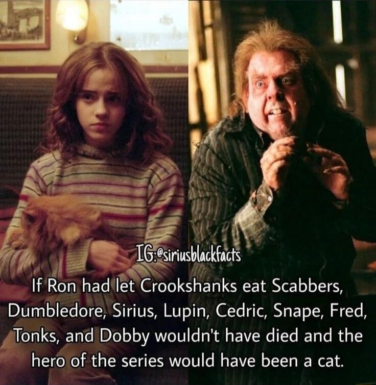 IG: @siriusblackfacts If Ron had let Crookshanks eat Scabbers, Dumbledore, Sirius, Lupin, Cedric, Snape, Fred, Tonks, and Dobby wouldn't have died and the hero of the series would have been a cat.