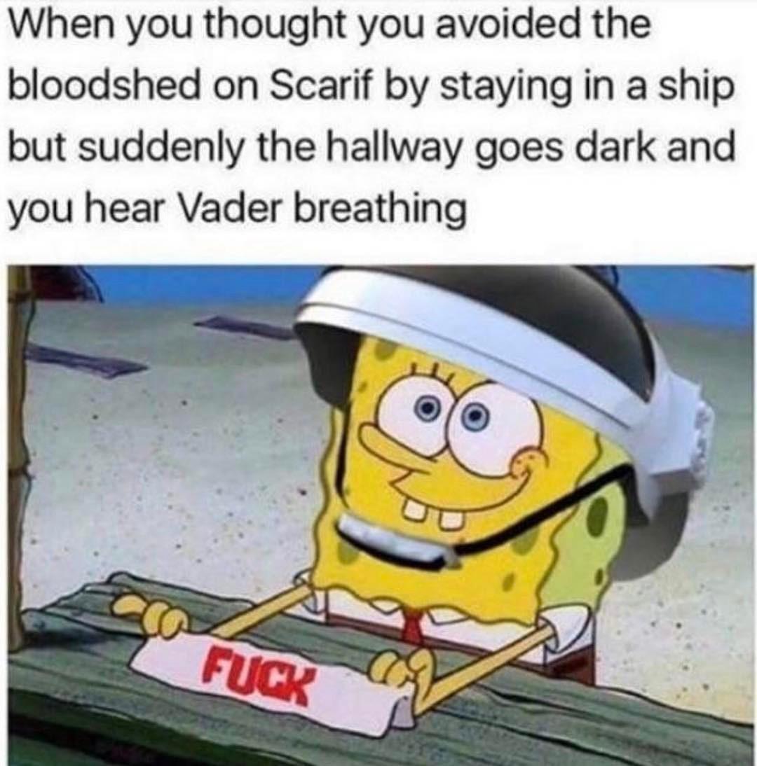 When you thought you avoided the bloodshed on Scarif by staying in a ship but suddenly the hallway goes dark and you hear Vader breathing